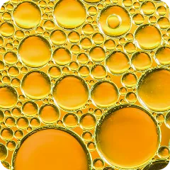 Coenzyme Q10